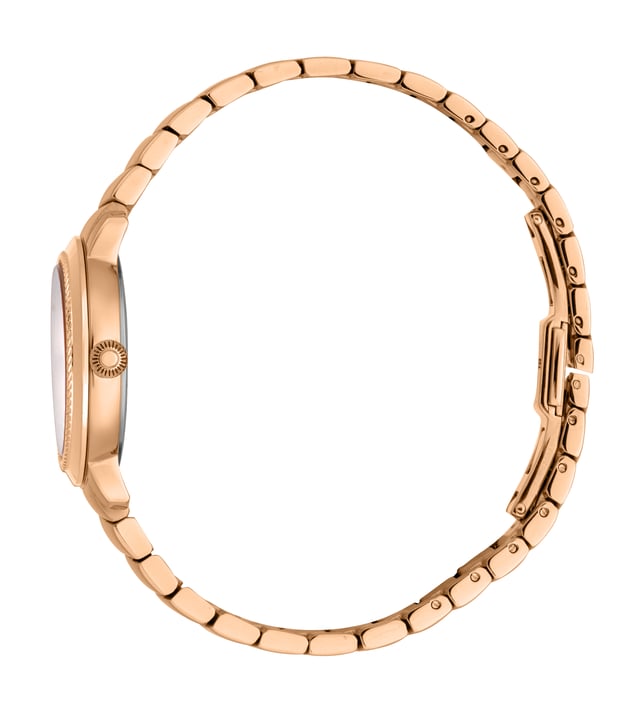 RC5L056M0075 Roberto Cavalli 4894626219290 Reloj de cuarzo para mujer de acero inoxidable plata y madreperla blanca, acero inoxidable 5 ATM, 30 mm