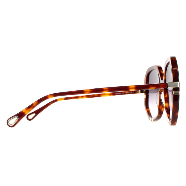 Las gafas de sol Chloe Square para mujer en gris tortuga degradado Ch0105S son un glamuroso modelo hexagonal elaborado en acetato ligero. El logotipo de Chloe luce en las finas patillas para garantizar la autenticidad de la marca.
