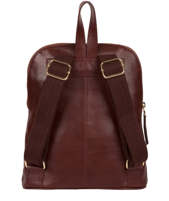 Pure luxuries 2025 backpack
