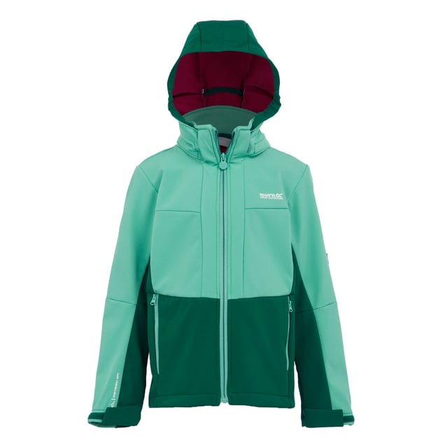 Regatta Kinder/Kids Haydenbury II Soft Shell Jas (Stofgroen/Regenwoud) Stof: Softshell, Stretch, Geweven. Ontwerp: Kleurenblok, Logo. Trim: Reflecterend. Stoftechnologie: Ademend, DWR Finish, Lichtgewicht, Waterdicht, Windbestendig, Winddicht, XPT. Halslijn: Kapitein. Mouwtype: Met lange mouwen. Manchet: Lipje met aanraaksluiting. Zip Guard. Eigenschappen van de kap: Afneembare kap, Elastiek. Zakken: 2 onderste zakken, ritssluiting. Bevestiging: Volledige ritssluiting. 10000g/m²/24hrs. Zoom: verstelbaar, zoom met schokkoord. Duurzaamheid: Gemaakt van gerecycled materiaal. 15-16 jaar: 36 in. 7-8 jaar: 26 in. 14 Jaar: 33 in. 13 Jaar: 32 in. 11-12 jaar: 31 in. 9-10 jaar: 28,5 in. 3-4 jaar: 22,5 in. 5-6 jaar: 24 in.