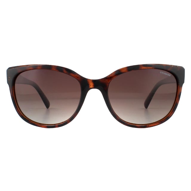 Polaroid sunglasses havana new arrivals