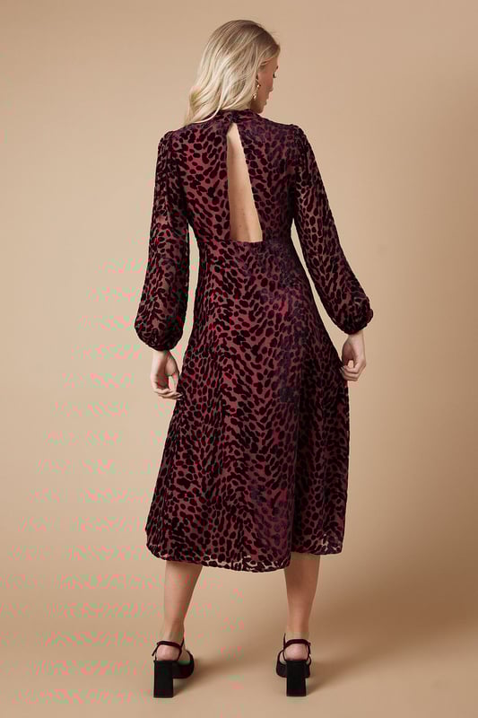 Petite Animal Devore Cutout Back Midi Dress