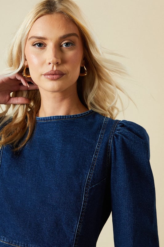 sachin and babi light blue dress The Somerset Embroidered Denim Mini Dress