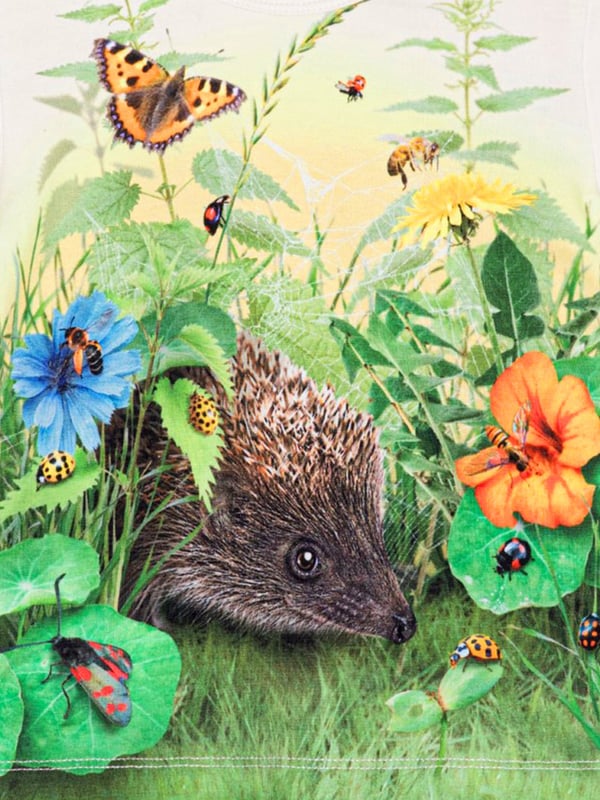 Introducing the exquisite Baby Hedgehog T-Shirt by Molo, perfect for your Baby Unisex's stylish comfort needs. Here's why it's a must-have! Fashion-forward: The colourful multicolour design with a unique hedgehog print is a blend of elegance and playfulness.  Premium Comfort: This baby t-shirt is crafted with superior fabrics for a plush feel and delicate care for your baby's tender skin.  Perfect Addition: revitalise your little one's wardrobe with this vibrant Molo Baby Hedgehog T-Shirt. Offer your baby the fusion of comfort and style now!