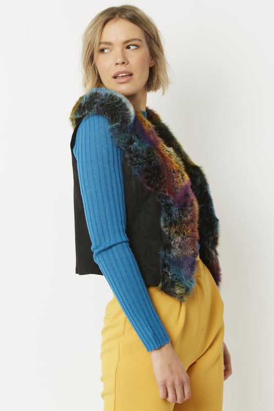 Reversible Gillet with Contrasting Faux Fur and Suede in Camel and Cream