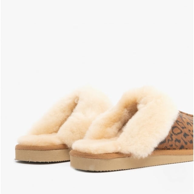 Shepherd Shepherd JESSICA Womens Sheepskin Mules Chestnut/Leopard

 Upper Material: Sheepskin

Lining Material: Sheepskin

Sole Material: EVA

Closure/Fastening: Slip-On

Features: Warm Lining

Toe Shape: Round

Shoe Width: Regular

Item Weight: 0.3 KG

Heel Height: Flat (Under 2.5cm)

Slipper Style: Mule

Gift Boxed: No
Product Code: 468156