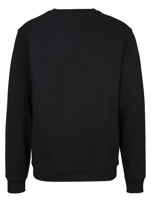 Het Replay sweatshirt biedt een casual, moderne look en ultiem comfort. Met zijn zachte materiaal en klassieke ontwerp is het perfect voor ontspannen dagen of sportieve activiteiten. Veelzijdig, zorgt het voor een coole en comfortabele stijl.