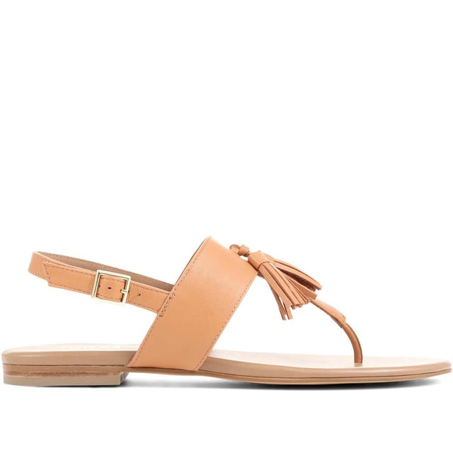 All the more reason to look forward to the summer months, bask in the sunshine in style with these Lizabeth thong sandals. Made from super soft leathers and finished with a strap at the back for comfort, whether worn with jeans or skirts, they're sure to sign your summer 'fit off in style.