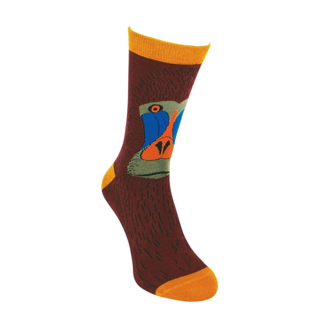 Mr Heron Bamboo Patterned Animal Socks: Miss Sparrow prides their products on the philosophy of making your feet feel fabulous all year round. Whether it's their chic and stylish products, they bring you unique, exciting and fashionable accessories, full of individuality to give you the confidence to be you. If you’re after great bamboo socks with very bright, funky and crazy colours then these bunch of Mr Heron Socks are perfect! With loads of patterns like spots, stripes, zig zags and more! You’ll be sure to find the perfect pair to jazz up your feet!. Their socks will keep your toes warm and make your loved ones smile on special occasions. They would even make a wonderful gift for yourself or a loved one. These socks are breathable, hypoallergenic antibacterial and super soft. There are many patterns available, we’re sure you’ll find something that’ll suit you. These range of socks are made from 54% Bamboo, 22% Cotton, 16% Polyester, 6% Nylon, 2% Elastane. They are men’s size 6-11 UK. Machine washable under 40. Do not dry clean. Do not iron. Do not bleach. Extra Product Details: Men’s Mr Heron Socks Novelty Bamboo Socks A Great Gift Bamboo Rich Fibres 4 Funky Patterns Super Soft & Breathable Hypoallergenic Antibacterial Machine Washable Under 40