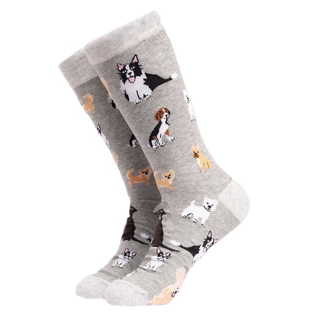 Soctopus - 1 Par de Calcetines para Perro: Los calcetines Soctopus son una idea de regalo divertida y creativa para la persona a la que le encanta reír. Por qué no considerar estos calcetines para adultos con diferentes razas de perros en ellos como un gran par para su colección de calcetines. Estos calcetines creativos son una idea de regalo única y divertida para cualquier persona a la que le gusten los calcetines originales o simplemente quiera probar algo diferente en sus pies. Incluso pueden ser un buen regalo de última hora para Navidad. Se ajustan cómodamente y están hechos de un material suave y transpirable que incluye un 70% de algodón peinado, lo que los hace aún más suaves que el algodón normal y perfectos para llevarlos durante todo el día. Están disponibles en 2 tallas para adultos: 4-8 Reino Unido, 9-12 Reino Unido y tienen más de 12 patrones Doggy diferentes, incluyendo: Dogtor, Party Pups, Cocker Spaniel, Pug Shots, Sausage Dogs y muchos más. Todos con diseños alegres y divertidos. Nacido en Brighton, Soctopus celebra lo mejor de todo lo que es divertido, creativo y positivo en la vida. Estos calcetines son de 1 par por paquete y están hechos de: 70% algodón peinado, 28% poliéster, 2% elastano. Son lavables a máquina. Detalles adicionales del producto: Calcetines Soctopus para adultos con diseños de perros 70% algodón peinado Una idea de regalo divertida y creativa 14 diseños disponibles Tacto suave y cómodo Material suave y transpirable 1 par por paquete 2 opciones de tallas: 4-8 UK & 9-12 UK Lavables a máquina