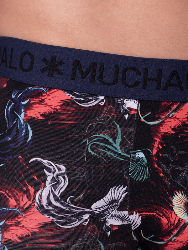 Die Boxershorts/Unterhosen von Muchachomalo sitzen wie angegossen und sind aus hochwertiger Baumwolle gefertigt. Ein weiches, elastisches Logobündchen aus Mikrofasermaterial sorgt für zusätzlichen Komfort.  Spezifikationen • Normale Passform • Flach genähte Nähte für zusätzlichen Komfort • Weiches Bündchen mit dem Muchachomalo-Logo  Pflege • Waschbar bei 30 Grad • Nicht im Trockner trocknen • Bügeln bei mäßiger Temperatur (2 Punkte)  Warum Muchachomalo? Muchachomalo arbeitet nur mit Fabriken, die BSCI- und OEKO-TEX-zertifiziert sind. Diese Fabriken haben es sich zum Ziel gesetzt, die Arbeitsbedingungen kontinuierlich zu verbessern. Sie setzen sich für das Recht auf die Bildung von Gewerkschaften, sichere Arbeitsbedingungen und gegen Zwangs- und Kinderarbeit ein. Sie ermöglichen es auch Verbrauchern und Unternehmen, verantwortungsvolle Entscheidungen zu treffen, die unseren Planeten für zukünftige Generationen schützen.