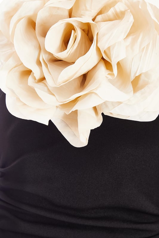 - Bandeau neckline - Corsage detail - Ruched waist - Bodycon style - Model height: 5'3" - Model wears uk 6 / us 2 / eur 34 - Always check the care wash label - Cool hand wash with mild detergent