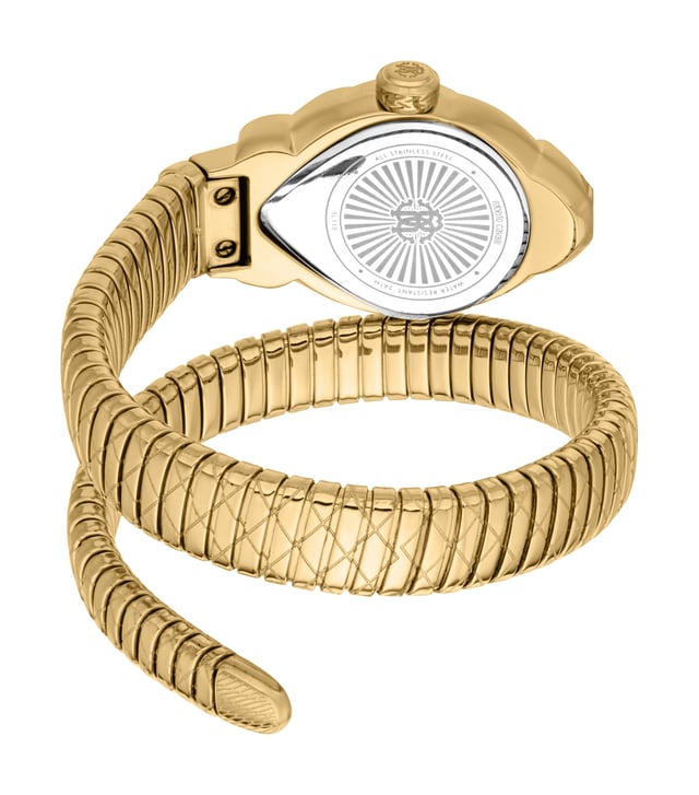De Roberto Cavalli Lady-horloge is een modieuze tijdmeter ontworpen voor volwassen vrouwen, die elegantie combineert met een hedendaagse stijl. Het beschikt over een quartz uurwerk met een klassieke driewijzerdisplay, wat zorgt voor nauwkeurige tijdsaanduiding. De kast is gemaakt van roestvrij staal in een luxe gele gouden afwerking, met een slank profiel van 8 mm dikte. Hoewel de kastdiameter niet gespecificeerd is, behoudt het ontwerp een verfijnde en elegante uitstraling. De horloge is uitgerust met een duurzaam mineraalglas en een handige push & pull kroon.

Dit model heeft een bijpassende gele gouden roestvrij stalen band, die 22 cm lang en 12 mm breed is, wat zowel comfort als stijl biedt. De wijzerplaat heeft een onderscheidende flesgroene kleur, wat een gedurfde contrast creëert tegen de gouden kast en band. Met een gewicht van 49 gram is de horloge waterbestendig maar beschikt het niet over lichtgevende wijzers of indexen. Het is geen gelimiteerd model, waardoor het een perfecte keuze is voor dagelijkse mode met een vleugje verfijning.
