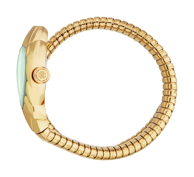 De Roberto Cavalli Lady-horloge is een modieuze tijdmeter ontworpen voor volwassen vrouwen, die elegantie combineert met een hedendaagse stijl. Het beschikt over een quartz uurwerk met een klassieke driewijzerdisplay, wat zorgt voor nauwkeurige tijdsaanduiding. De kast is gemaakt van roestvrij staal in een luxe gele gouden afwerking, met een slank profiel van 8 mm dikte. Hoewel de kastdiameter niet gespecificeerd is, behoudt het ontwerp een verfijnde en elegante uitstraling. De horloge is uitgerust met een duurzaam mineraalglas en een handige push & pull kroon.

Dit model heeft een bijpassende gele gouden roestvrij stalen band, die 22 cm lang en 12 mm breed is, wat zowel comfort als stijl biedt. De wijzerplaat heeft een onderscheidende flesgroene kleur, wat een gedurfde contrast creëert tegen de gouden kast en band. Met een gewicht van 49 gram is de horloge waterbestendig maar beschikt het niet over lichtgevende wijzers of indexen. Het is geen gelimiteerd model, waardoor het een perfecte keuze is voor dagelijkse mode met een vleugje verfijning.
