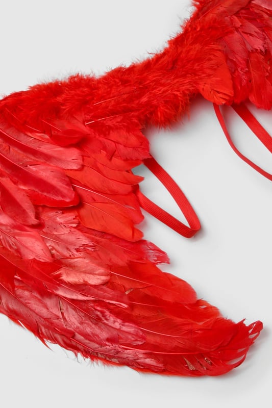 Oversized feather wings for a dramatic effect
        Adjustable straps for secure and comfortable wear
        Textured feather design for a realistic look
        Lightweight construction for ease of movement
        Versatile accessory for various costume themes
    
    Transform your look with these striking oversized feather wings, perfect for adding a touch of fantasy to your Halloween ensemble or themed party outfit. The wings feature a textured feather design that creates a lifelike appearance, while the oversized silhouette ensures you'll make a grand entrance wherever you go. Easily secured with adjustable straps, these wings are designed for comfort and wearability throughout your event. Style them with a sleek, form-fitting outfit to really let the wings take centre stage - try pairing with a black mini dress and statement boots for a bold, edgy look. Whether you're channelling a dark angel, a mythical creature, or simply want to add a dramatic flair to your costume, these versatile wings are sure to turn heads and spark conversation at any gathering.