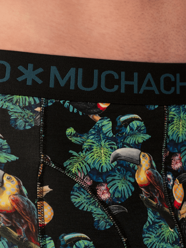 Die Boxershorts/Slips von Muchachomalo sind perfekt geschnitten und aus hochwertiger Baumwolle gefertigt. Ein weiches und elastisches Bündchen mit dem Microfaser-Logo sorgt für zusätzlichen Komfort.  Spezifikationen • Normale Passform • Flache Nähte für zusätzlichen Komfort • Weiches Bündchen mit dem Muchachomalo-Logo  Pflegehinweise • Waschbar bei 30 Grad • Nicht im Trockner trocknen • Bei mittlerer Temperatur bügeln (2 Punkte)  Warum Muchachomalo? Muchachomalo arbeitet nur mit BSCI- und OEKO-TEX-zertifizierten Fabriken. Diese Fabriken haben sich verpflichtet, die Arbeitsbedingungen kontinuierlich zu verbessern. Sie setzen sich für das Recht ein, Gewerkschaften zu bilden, sorgen für sichere Arbeitsbedingungen und lehnen Zwangsarbeit sowie Kinderarbeit ab. Sie ermöglichen es auch Verbrauchern und Unternehmen, verantwortungsbewusste Entscheidungen zu treffen, die unseren Planeten für zukünftige Generationen schützen.
