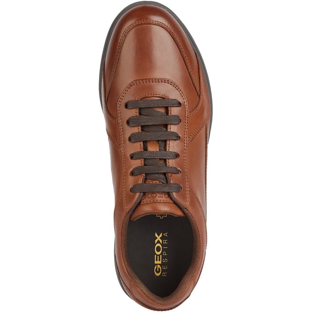 Spherica EC12 ist ein ultra-gepolsterter Sneaker mit einem Design, das Sie leichtfüßig hält. Aus Leder gefertigt, strahlt er eine authentische Atmosphäre aus, die ihn für viele Anlässe geeignet macht, von Arbeitstagen bis hin zu Wochenenden in der Stadt.