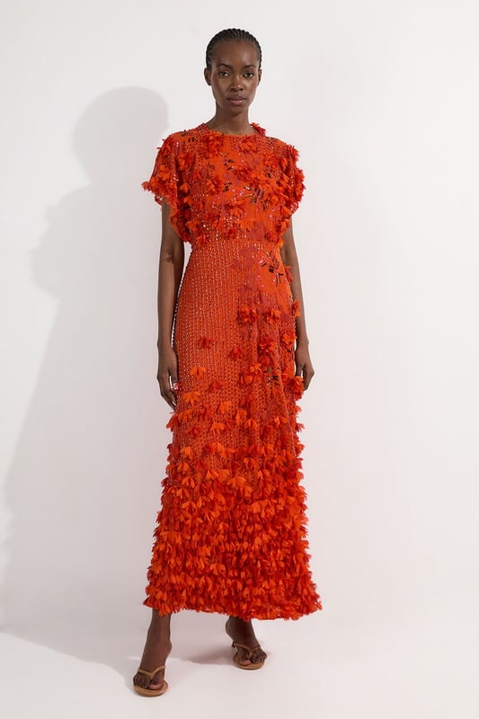 Tall Embroidery And Applique Angel Sleeve Woven Maxi Dress