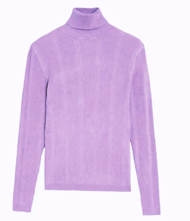Stay warm and cozy in this fashionable ribbed jumper that offers a textured appearance. Designed with a slim fit, it includes a roll neck and long sleeves for added comfort, making it a versatile addition to your wardrobe. Enjoy the timeless yet modern style of this easy-to-wear staple.

25" Shoulder to Hem.