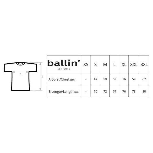 Heren t-shirt van het merk Ballin Est. 2013. Deze shirts van Ballin Est. 2013 zijn gemaakt van 100% biologisch katoen, en hebben tapered fit. Dit is een iets smallere pasvorm. Het zachte katoen zorgt voor een heerlijk draagcomfort.  Modelnaam: Small Logo ShirtCategorie: heren t-shirtMaterialen: biologisch katoenKleur: grijs