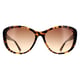 Calvin Klein Cat Eye Womens Tortoise  Brown Gradient CK19560S