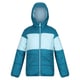 Regatta Childrens/Kids Lofthouse VII Terrain Print Padded Jacket (Gulfstream/Sea Haze)