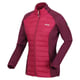 Regatta Womens/Ladies Clumber IV Hybrid Jacket (Rumba Red/Burgundy)