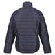 Regatta Womens/Ladies Wentwood VIII 2 in 1 Jacket (Apricot Crush/Seal Grey)