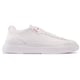 Hugo Blake Trainers