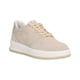 Gattino G1021-242