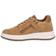 Gattino G1021-242