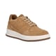 Gattino G1021-242