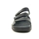 Stuppy 2830