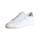 Gattino G1574
