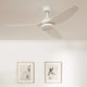 Cool Breeze Plafondventilator mathias zonder verlichting Ø127cm 6 snelheden afstandsbediening -