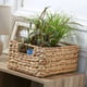 CaliCosy Waterhyacint mandje met metalen frame hoogte 13 cm