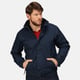 Regatta Dover waterdicht windproof jasje (thermo-guard isolatie)