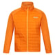 Regatta Hydrate viii 3 in 1 waterdichte jas voor kinderen/kinderen