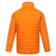 Regatta Hydrate viii 3 in 1 waterdichte jas voor kinderen/kinderen