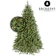 Excellent Trees ® led ulvik 210 cm premium kerstboom met 460 lampjes