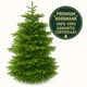 Furnilux nordmann kerstboom 350 -400 cm zonder kluit xl
