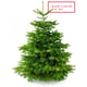 Furnilux Plant&more nordmann kerstboom 300 350 cm zonder kluit + garantie