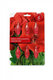 CaliCosy 6 bemestingsparels voor geraniums