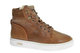 Gattino G2586